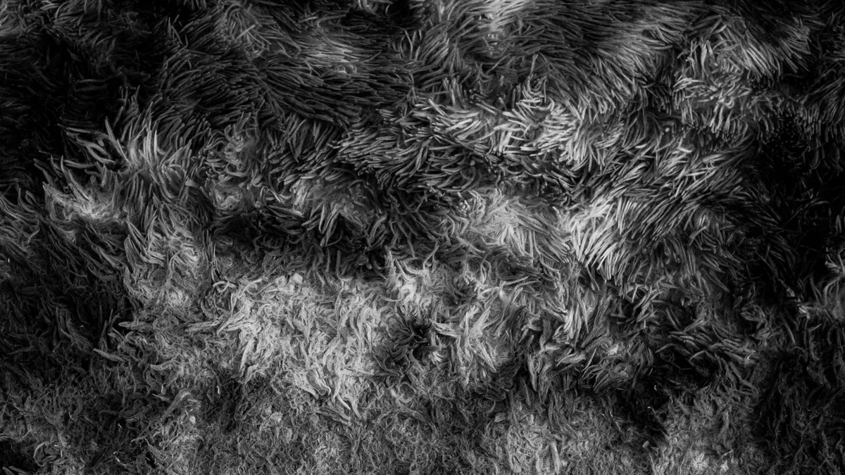 Tapis berbère 160 × 230 écru à motifs — photo 1