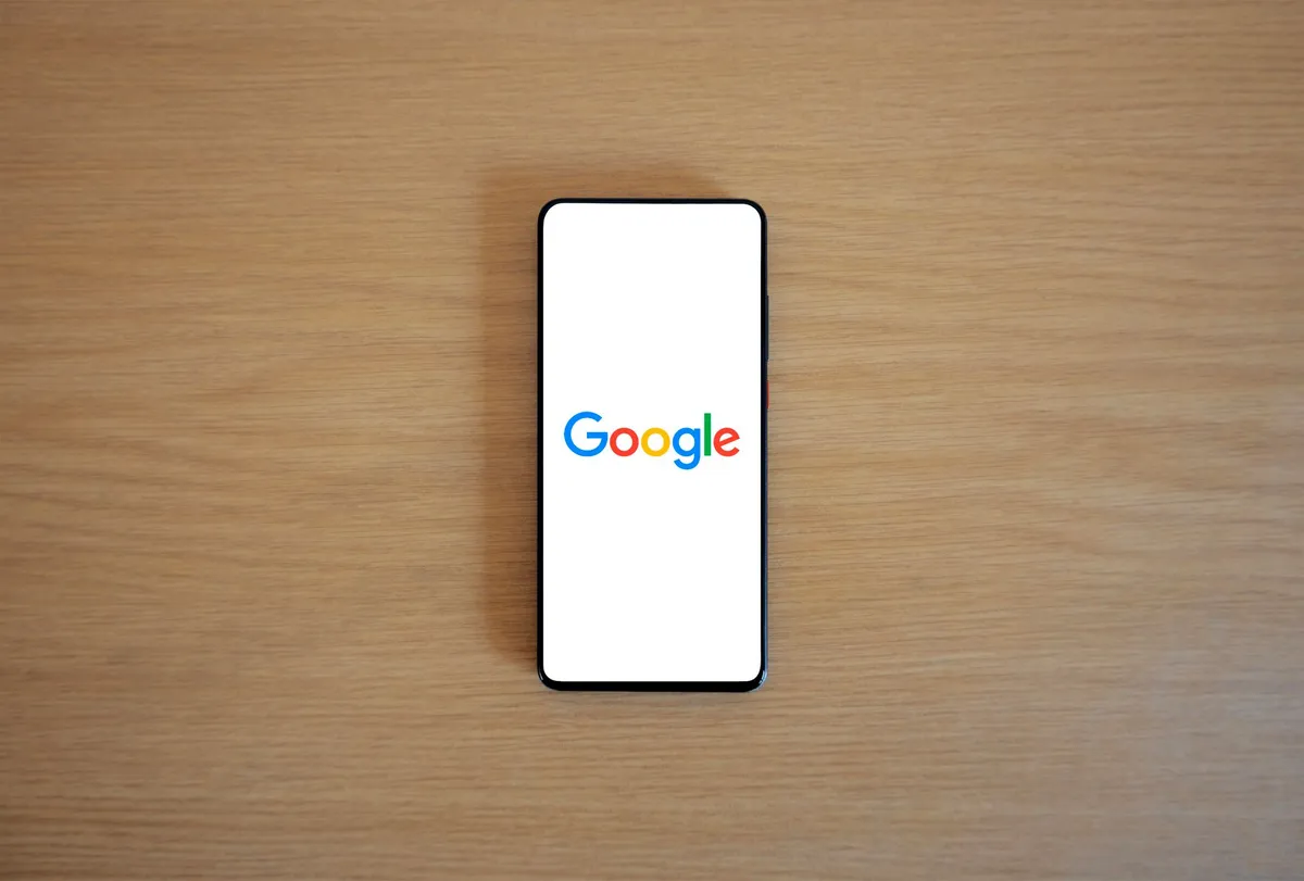 Google Pixel 8 128 Go vert sauge — photo 1
