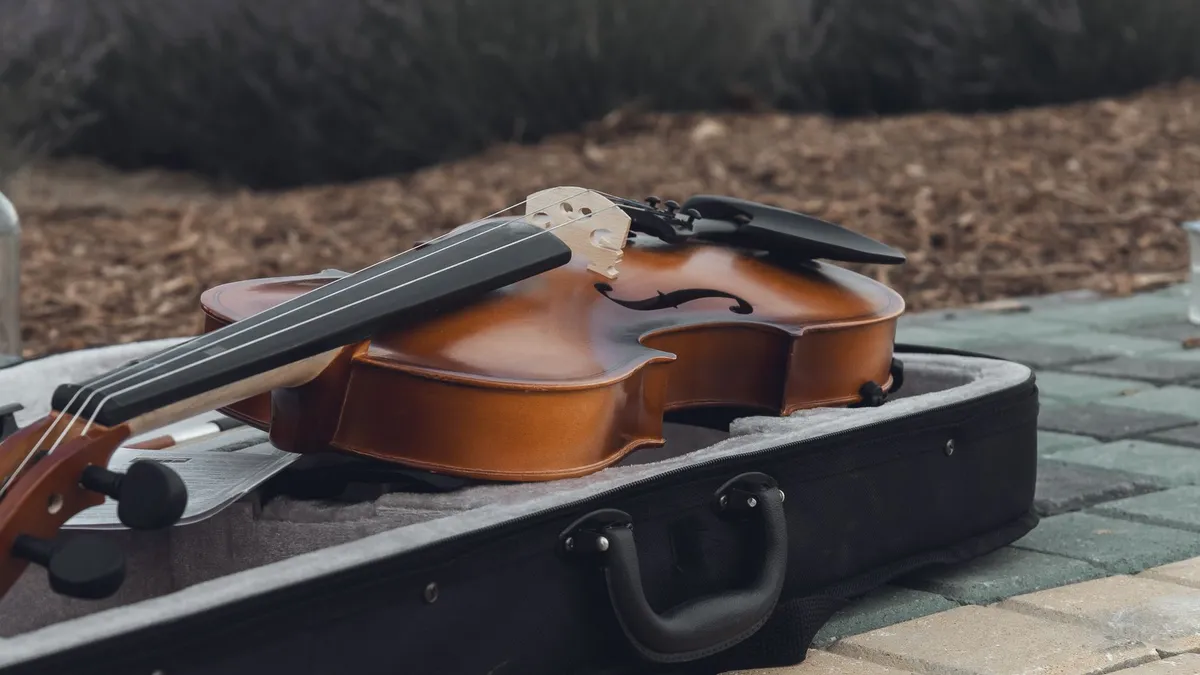 Violon 4/4 avec archet et étui rigide — photo 1