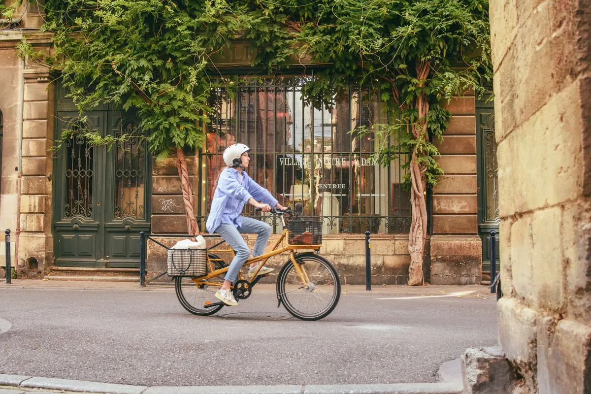 Vélo hollandais Gazelle cadre bas vintage — photo 1